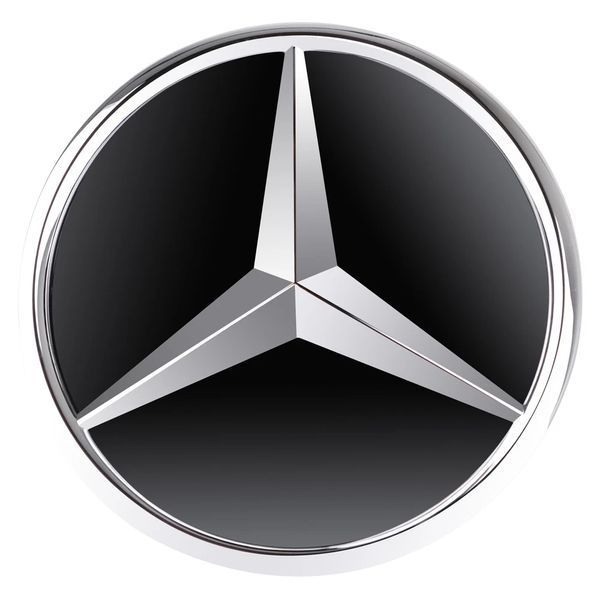 Емблема в решітку радіатора Mercedes E-Class W213 2020-2023 A2138884800 A2139058613 хром 522655 фото