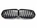 Решітка радіатора на BMW X5 G05 2018-2022 Black 172901 фото 5