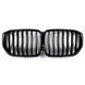 Решітка радіатора на BMW X5 G05 2018-2022 Black 172901 фото 1