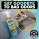 Ароматизатор в машину Chemical Guys Raging Banana and Odor Eliminator 473мл 408649 фото 3