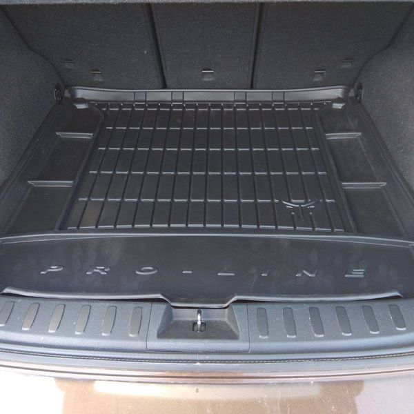 Коврик в багажник для BMW X1 E84 2009-2015 Frogum ProLine TM403529 44123 фото