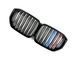 Решетка радиатора на BMW X5 G05 2018-2022 двойной M-Look M-color 429022 фото 2