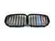 Решетка радиатора на BMW X5 G05 2018-2022 двойной M-Look M-color 429022 фото 1