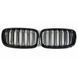 Решітка радіатора на BMW X5 E70, X6 E71 2007-2014 M-Look Black 175705 фото 7