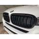 Решетка радиатора на BMW X5 F15, X6 F16 2013-2018 черный глянец BMW-F15141