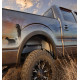 Подкрылки задние Ford F-150 2015- Raptor | Husky Liner 79151