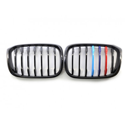 Решетки радиатора ноздри BMW X3 G01, X4 G02 2018- М-color 360Parts 355259