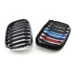 Решетки радиатора ноздри BMW X3 G01, X4 G02 2018- М-color 360Parts 355259