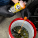 Автошампунь Chemical Guys Bug Plus Tar Remover Heavy Duty Car Wash Shampoo 1893мл