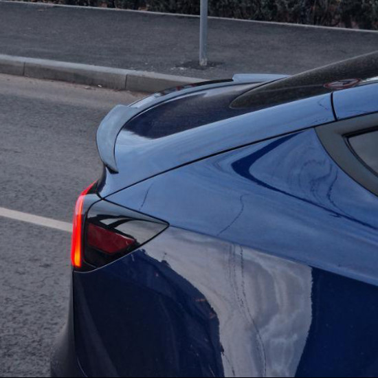 Спойлер на Tesla Model 3, Y 2017- Blade чорний глянець