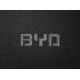 Органайзер в багажник BYD Small Black (ST 000026-L-Black)