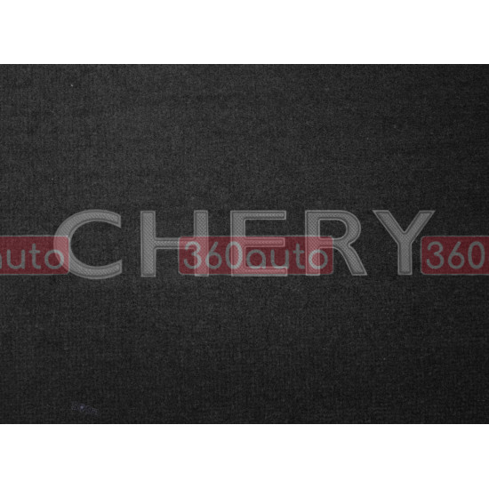 Органайзер в багажник Chery Small Black (ST 000028-L-Black)