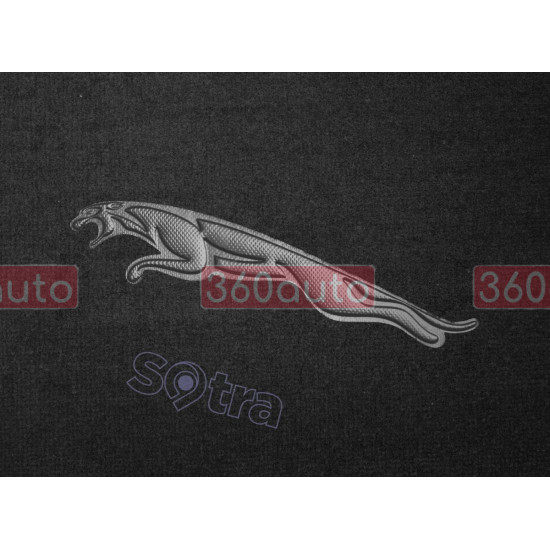 Органайзер в багажник Jaguar Small Black (ST 079080-L-Black)