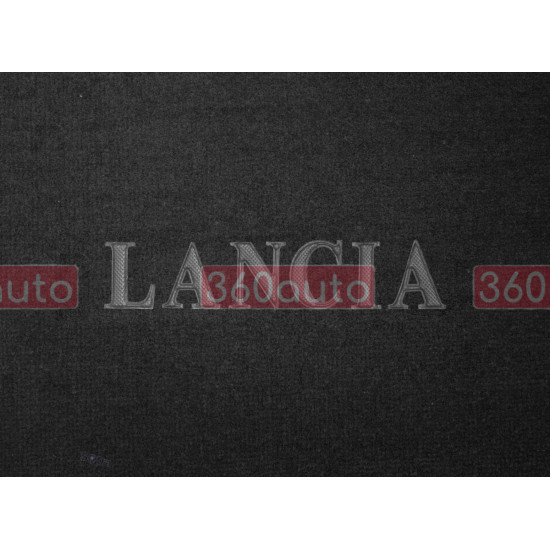 Органайзер в багажник Lancia Small Black (ST 000102-L-Black)