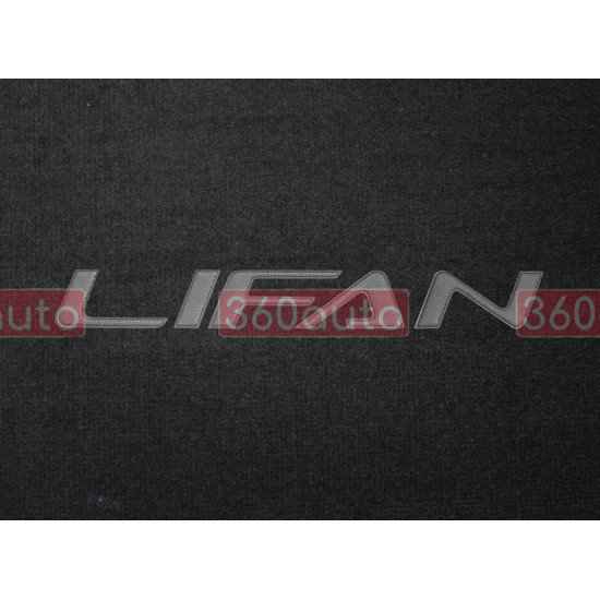 Органайзер в багажник Lifan Small Black (ST 000109-L-Black)