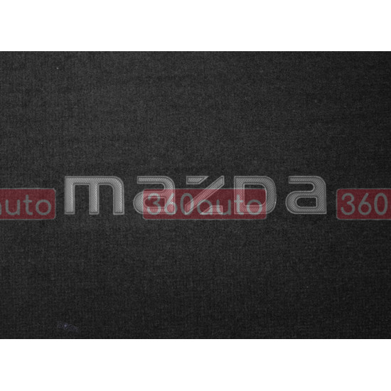 Органайзер в багажник Mazda Small Black (ST 110111-L-Black)