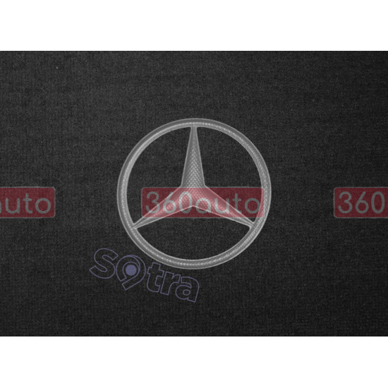 Органайзер в багажник Mercedes-Benz Small Black (ST 119120-L-Black)