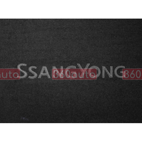 Органайзер в багажник Ssang Yong Small Black (ST 000167-L-Black)