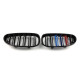 Ноздри M-color (Двойные M-Look) на BMW 5 E60, E61 2003-2010