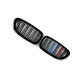 Ноздри M-color (Двойные M-Look) на BMW 5 Series F10/F11 2010-2017 года