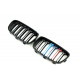 Решетка радиатора на BMW 1 F20, F21 2011-2015 M-color
