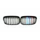 Решетка радиатора на BMW 1 F20, F21 2011-2015 M-color