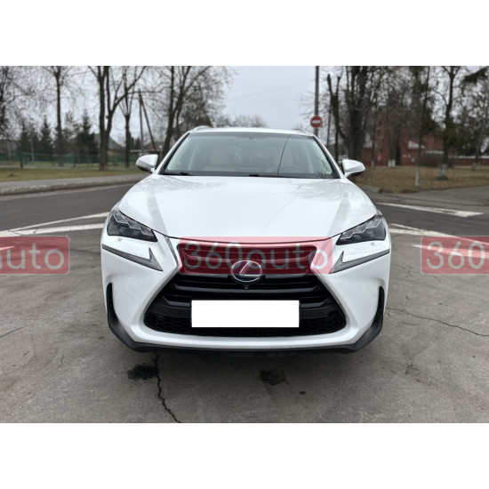 Решетка радиатора Gray (Normal) на Lexus NX 2014-2017 года