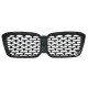Ноздри ( Diamond Silver ) на BMW X3 G01 2022-2024 года