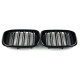 Ноздри Черный глянец (Двойные M-Look) Китай на BMW X3 G01 2018-2022