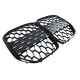 Ноздры ( ) на BMW 4 Series G22, G23 2020-2024 Diamond Silver